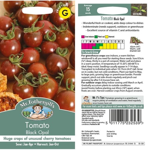 Tomat, Black opal