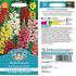 Lejongap, Rust resistant mix