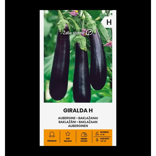 Aubergine, Giralda F1