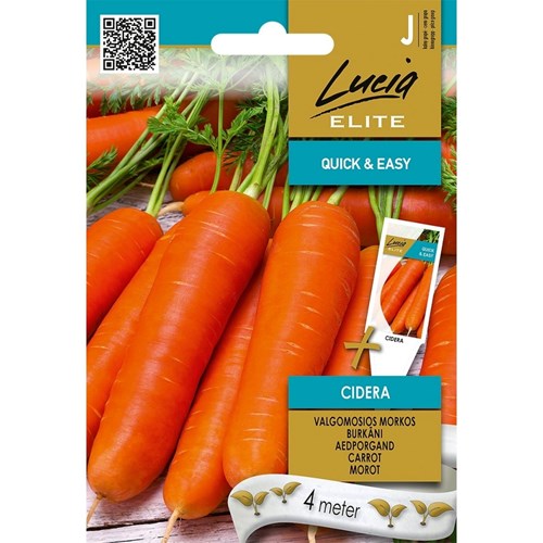 Morot, Cidera, Såband