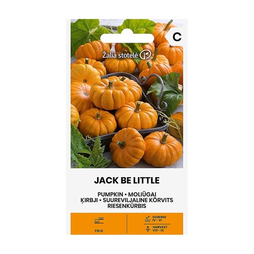 Pumpa, Jack Be Little