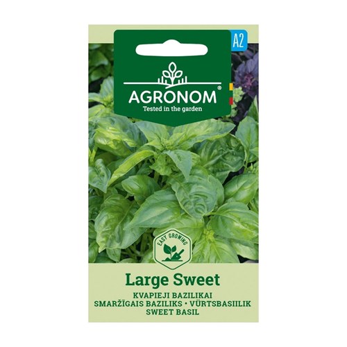 Basilika, Storbladig