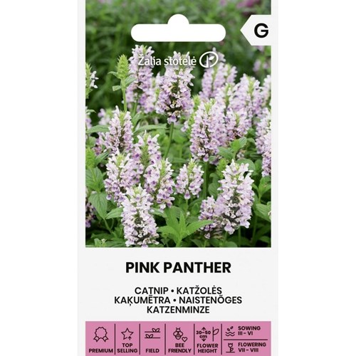 Kattmynta, Pink Panther