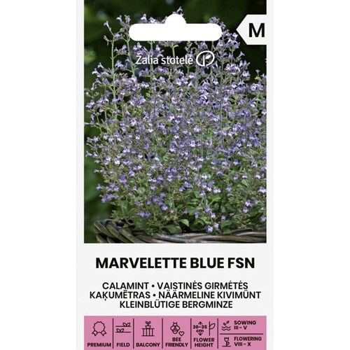 Stenkyndel, Marvelette