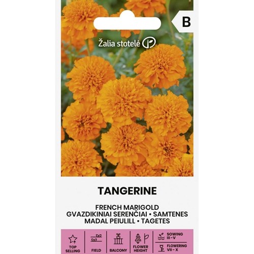 Tagetes, Tangerine