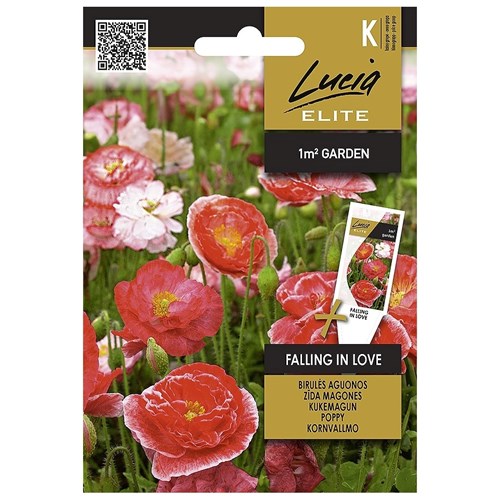 Vallmo, Kornvallmo, Falling in love