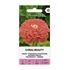 Zinnia, Coral Beauty
