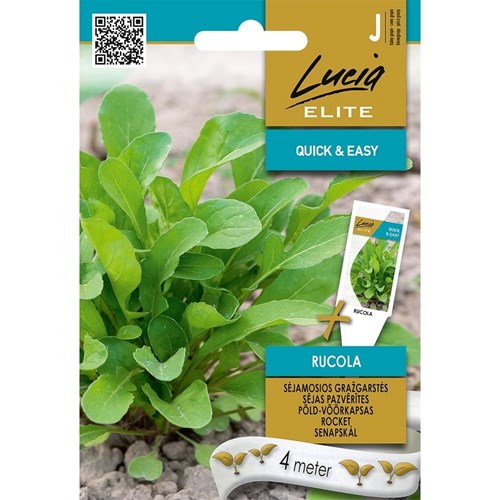 Sallat, Rucola, Såband