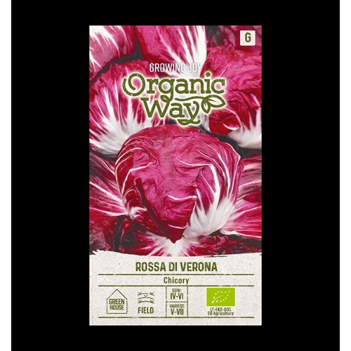 Sallat, Cikoriasallat, Rossa Di Verona, EKO