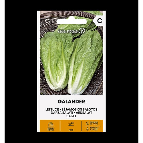 Sallat, Romersk, Galander