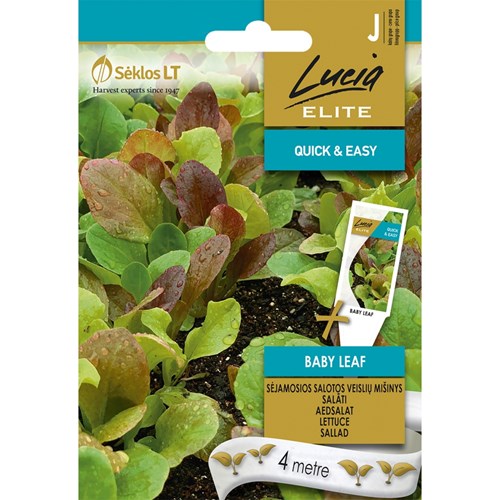 Sallat, Baby Leaf, såband
