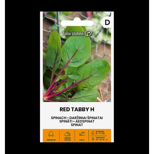 Spenat, Red Tabby F1