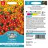 Tagetes, Starfire mix
