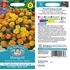 Tagetes, Boy o boy mix
