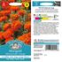 Tagetes, African kees´ orange
