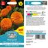 Tagetes, Orange Beast F1