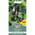 Aubergine, Baby jack