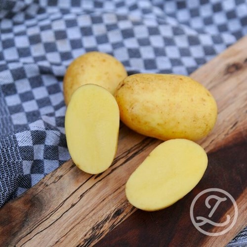 Sättpotatis, Fonia, 1 kg