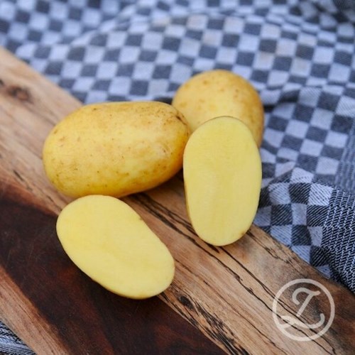 Sättpotatis, Lea, 300 gram, EKO