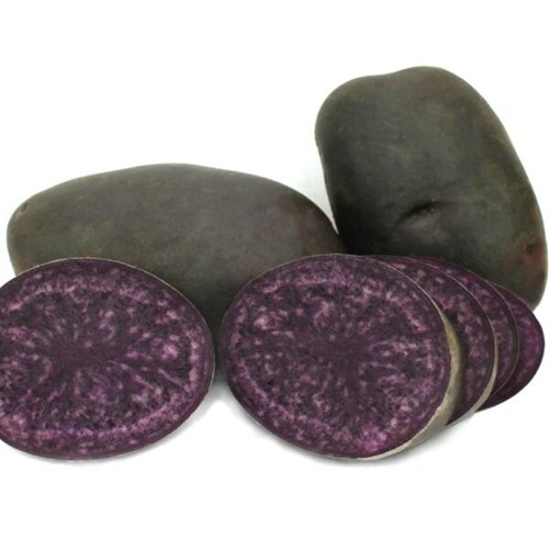 Sättpotatis, Bergerac, 300 gram
