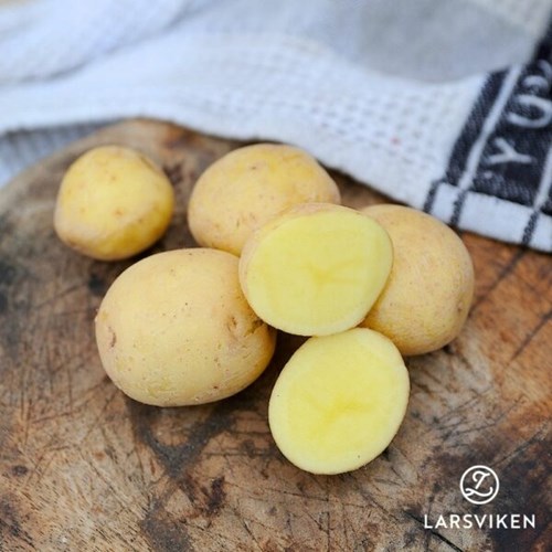 Sättpotatis, Paris, 300 gram