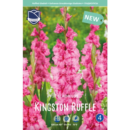 Gladiol, Kingston Ruffie