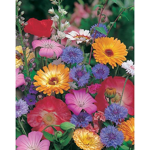 Blomsterblandning, Snabbt och enkelt