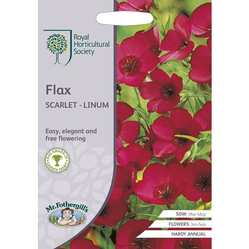 Blomsterlin, Scarlet
