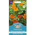 Krasse, Busk, Alaska tip top deep orange