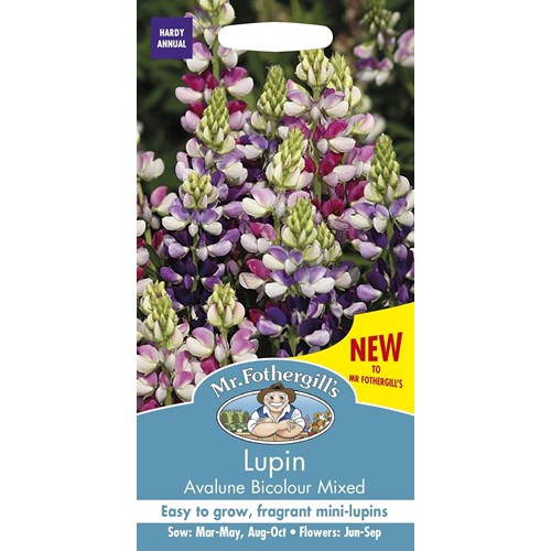 Lupin, Avalune bicolour mix