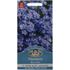 Nemesia, Blue gem