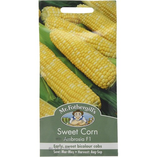 Majs, Ambrosia F1