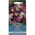 Petunia, Mr F´s multiflora mix F1