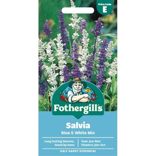 Salvia, Blue & white mix