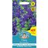 Salvia, Broksalvia, Blue Monday