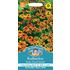Rudbeckia, Rustic Dwarf mix