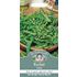 Rucola / Sandsenap, Vild