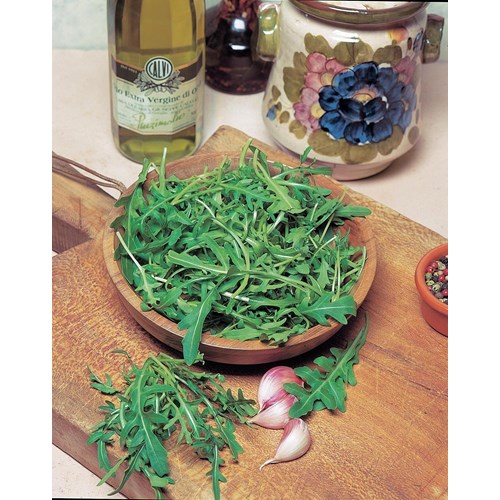 Rucola / Sandsenap, Vild - Simbadusa