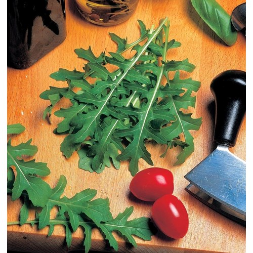 Rucola / Sandsenap, Runway
