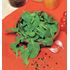 Rucola / Sandsenap