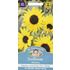 Solros, Alchemy