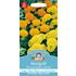 Tagetes, Sahara mix