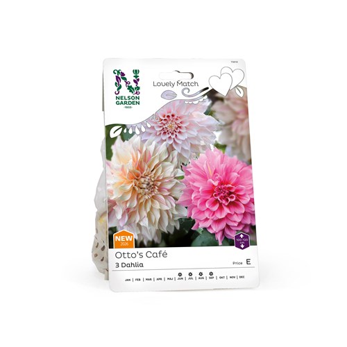 Perfect Partner, Ottos Cafe, Lovely match