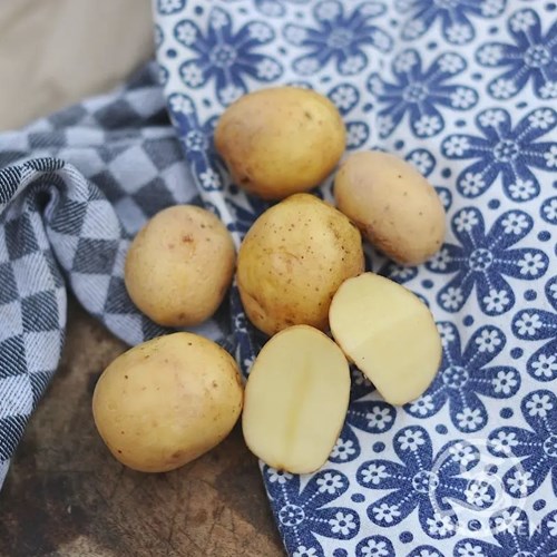 Sättpotatis, Princess, 2 kg, EKO