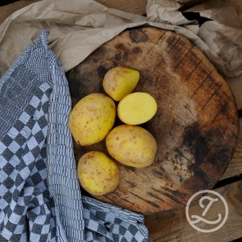 Sättpotatis, Plenty, 1 kg