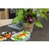 Aubergine, Pick & Joy