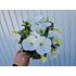 Petunia, Surfina, vit