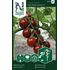 Tomat, Red Deep Desire F1
