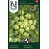Sallatscikorai, Puntarelle di Galatina