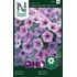 Petunia, Opera Supreme Lilac Ice F1